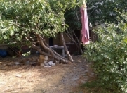 Satılır 13 sot torpaq Badamdar