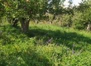 Satılır 12 sot torpaq Naxçıvan