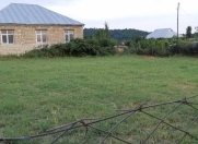 Satılır 5 sot torpaq Qəbələ