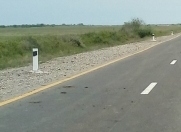 Satılır 754 sot torpaq Xaçmaz