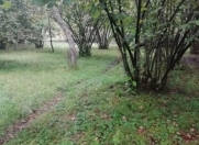 Satılır 8 sot torpaq Qəbələ