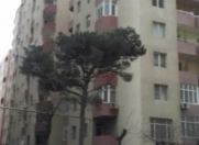 Satılır 1 otaqlı 38 m2 yeni tikili Xırdalan