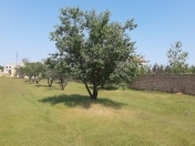 Satılır 16 sot torpaq Masazır