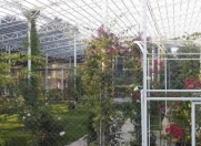 Satılır 9 otaqlı 30000 m2 obyekt Maştağa