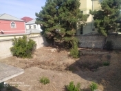 Satılır 6 sot torpaq Əhmədli