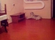 Satılır 3 otaqlı 400 m2 köhnə tikili Ağdaş