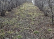 Satılır 9 sot torpaq Qusar