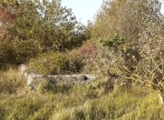 Satılır 35 sot torpaq Xaçmaz