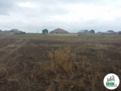 Satılır 5 sot torpaq Xaçmaz