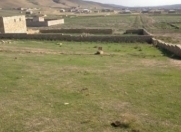 Satılır 24 sot torpaq Lənkəran