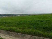 Satılır 200 sot torpaq Şabran