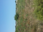 Satılır 40 sot torpaq Bakı