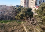 Satılır 30 sot torpaq Badamdar