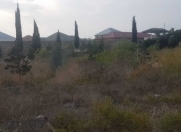 Satılır 3 sot torpaq Nardaran