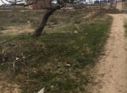 Satılır 50 sot torpaq Nardaran