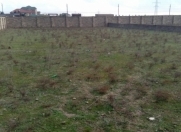 Satılır 12 sot torpaq Şüvəlan