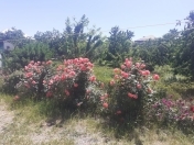 Satılır 2 otaqlı 56 m2 həyət evi Quba