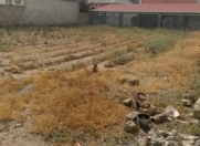 Satılır 9 sot torpaq Binə