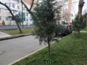 Satılır 2 otaqlı 56 m2 köhnə tikili 4 mkr