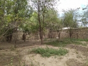 Satılır 2 sot torpaq Masazır