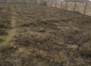 Satılır 10 sot torpaq Mehdiabad