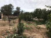 Satılır 7 sot torpaq Binə