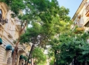 Satılır 7 sot torpaq Gənclik m.