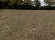 Satılır 10 sot torpaq Şəki