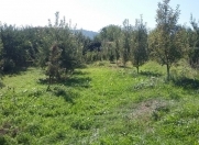 Satılır 10 sot torpaq Şəmkir