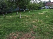 Satılır 6 sot torpaq Qəbələ