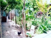 Satılır 3 otaqlı 110 m2 həyət evi Hövsan