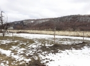 Satılır 6 sot torpaq Qusar