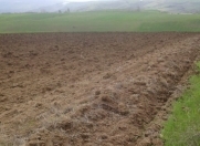 Satılır 50 sot torpaq Şamaxı