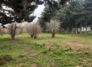 Satılır 17 sot torpaq Mərdəkan