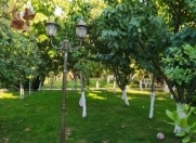 Satılır 5 otaqlı 400 m2 bağ evi Novxanı