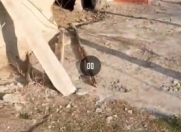 Satılır 2 otaqlı 7500 m2 bağ evi Kürdəmir