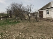 Satılır 250 sot torpaq Məhəmmədli