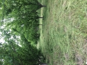 Satılır 80 sot torpaq Salyan