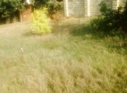 Satılır 16 sot torpaq Sumqayıt