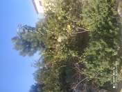 Satılır 3 otaqlı 80 m2 yeni tikili Buzovna