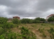 Satılır 12 sot torpaq Novxanı