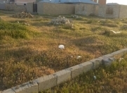 Satılır 3 sot torpaq Müşfiqabad