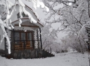 İcarəyə verilir 1 otaqlı 50 m2 bağ evi Zaqatala