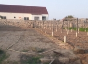 Satılır 7 sot torpaq Bilgəh
