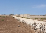 Satılır 12 sot torpaq Zirə