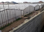 Satılır 36 sot torpaq Zirə