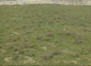 Satılır 12 sot torpaq Zirə