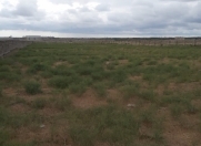 Satılır 300 sot torpaq Şüvəlan