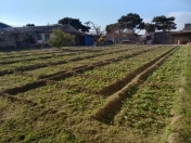 Satılır 10 sot torpaq Maştağa