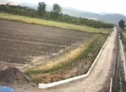 Satılır 500 sot torpaq Quba